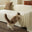 クリームホワイト